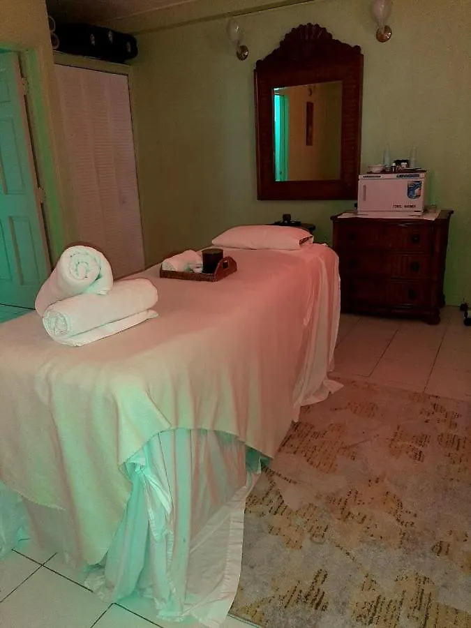 Grenadine House Hotel Kingstown 4*,  Saint Vincent and the Grenadines